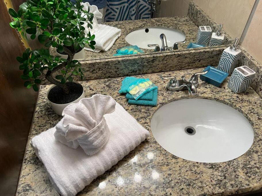Cozy Affordable Studio Close To The Beach Διαμέρισμα Hallandale Beach Εξωτερικό φωτογραφία